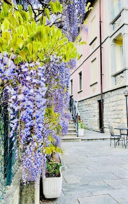 Charming & Luxury Villa Como Lake 외부 사진